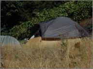 Stupid-big Tent