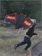 Bat aloft