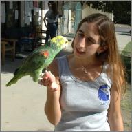 Parrot and Anaka