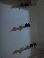 Shadow Bats