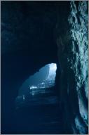 Sea Lion Cave