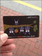 Valencia Metro Card