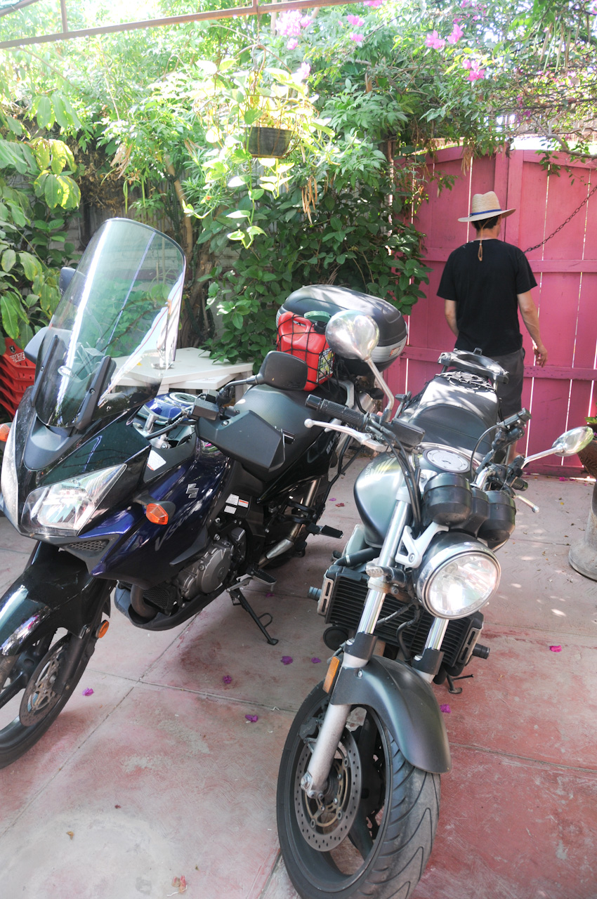 Bikes on the patio