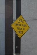 Shared lane, yield to bikes
