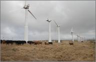 Wind farming