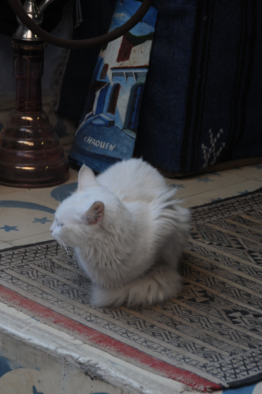 Ignoring me