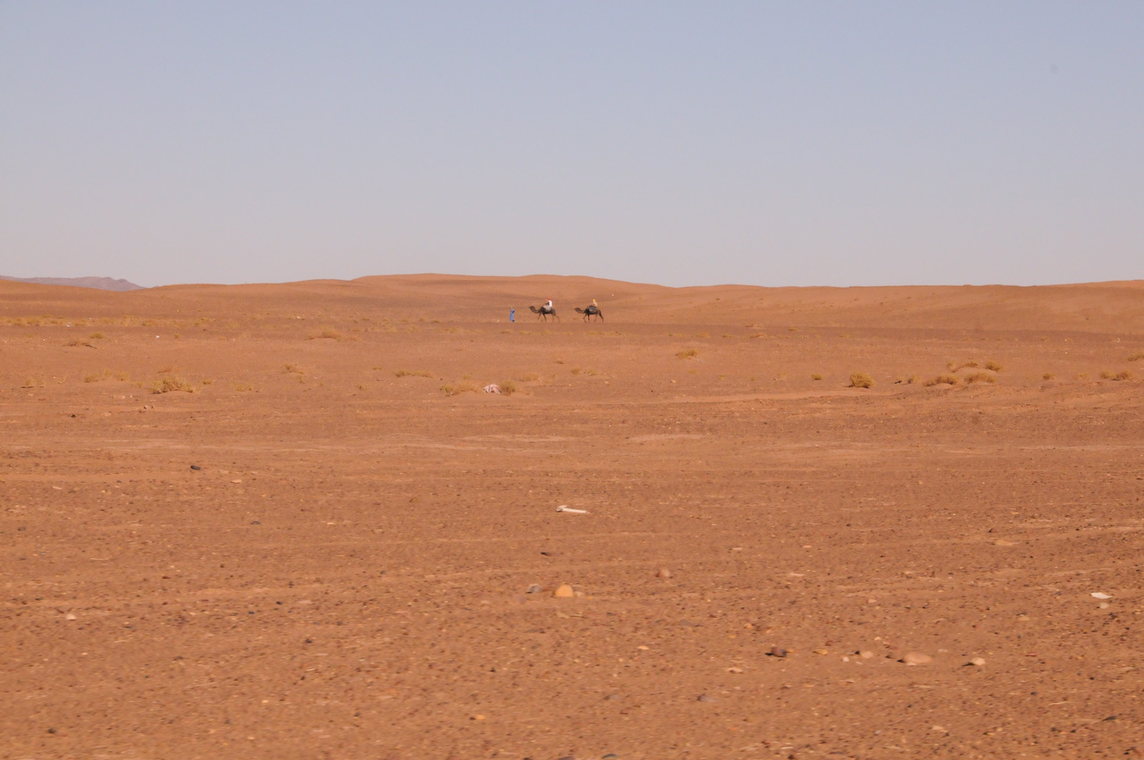 Camel riders