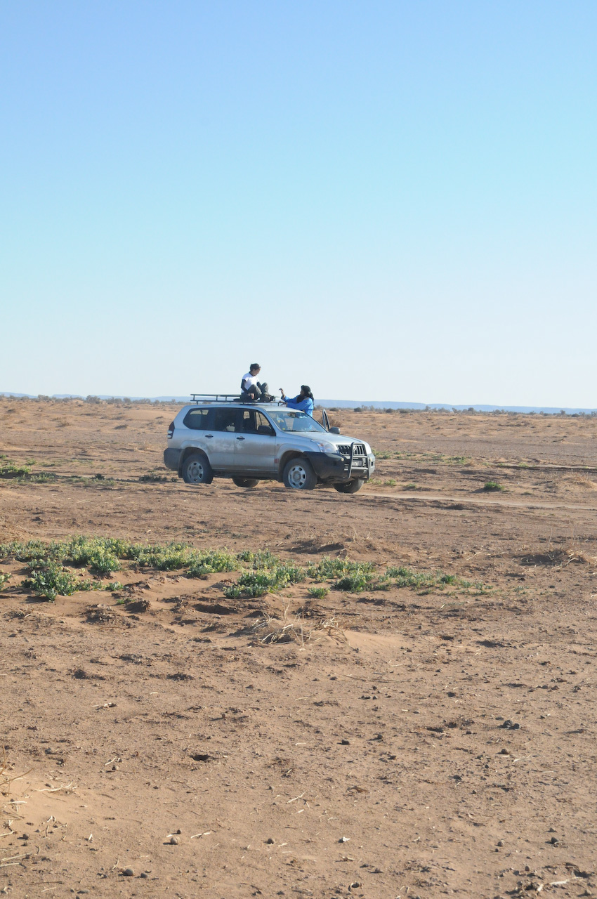 Julia on the 4x4