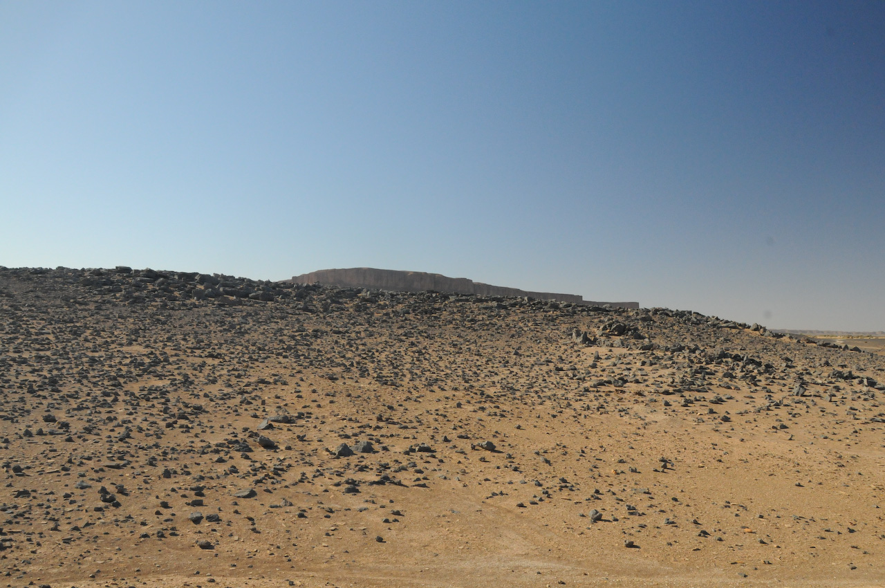 Fossil bed