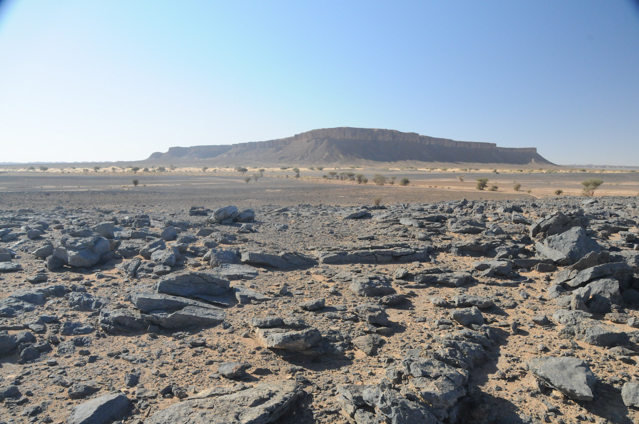 Fossil bed