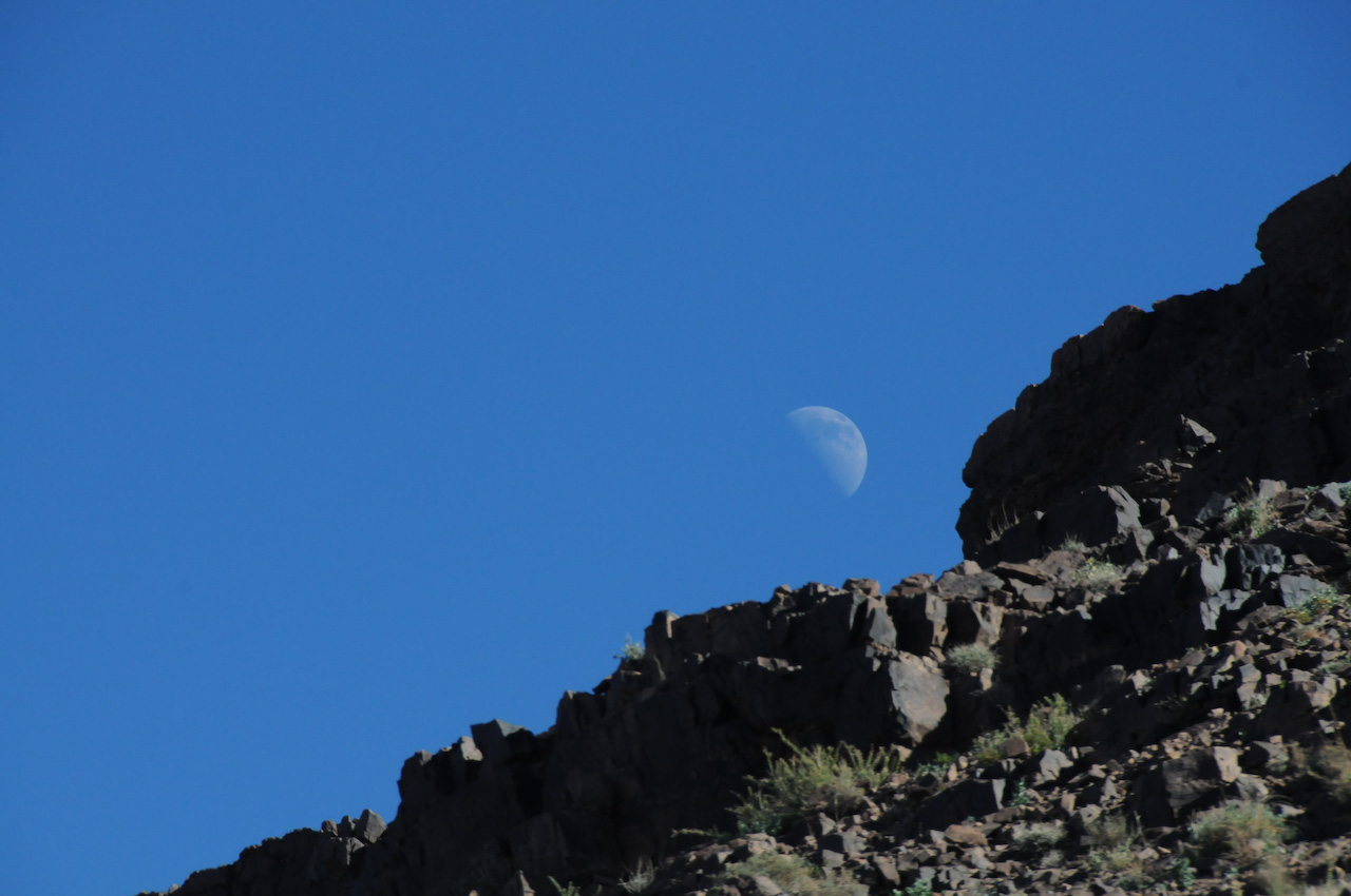 Moon
