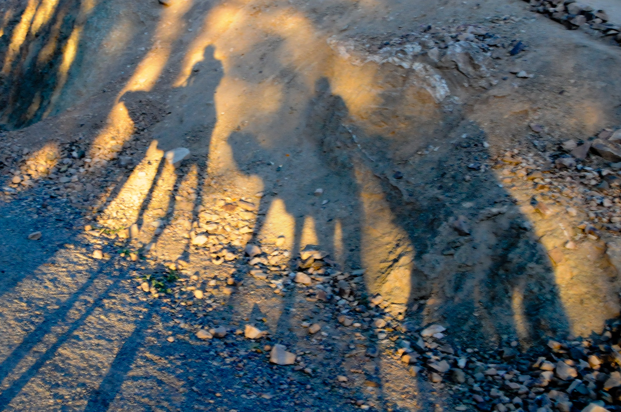 Tall shadows