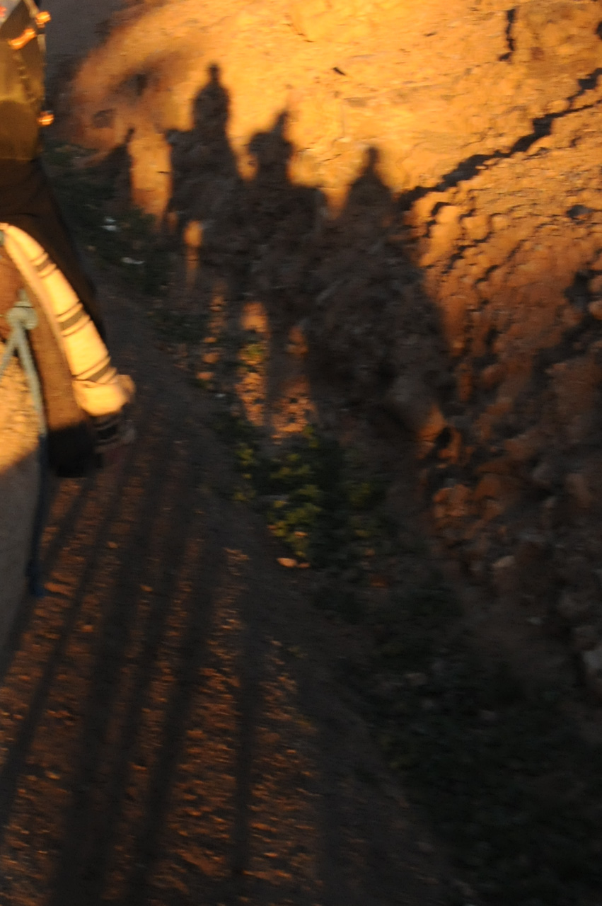 Tall shadows