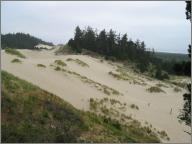 The Dunes. Note specklike human for scale.