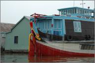 Fish transport boat