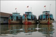 Fish transport boats