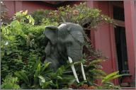 Topiary Elephant