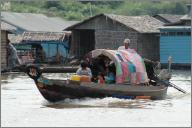 Patchwork Canopy, Tonle Sap