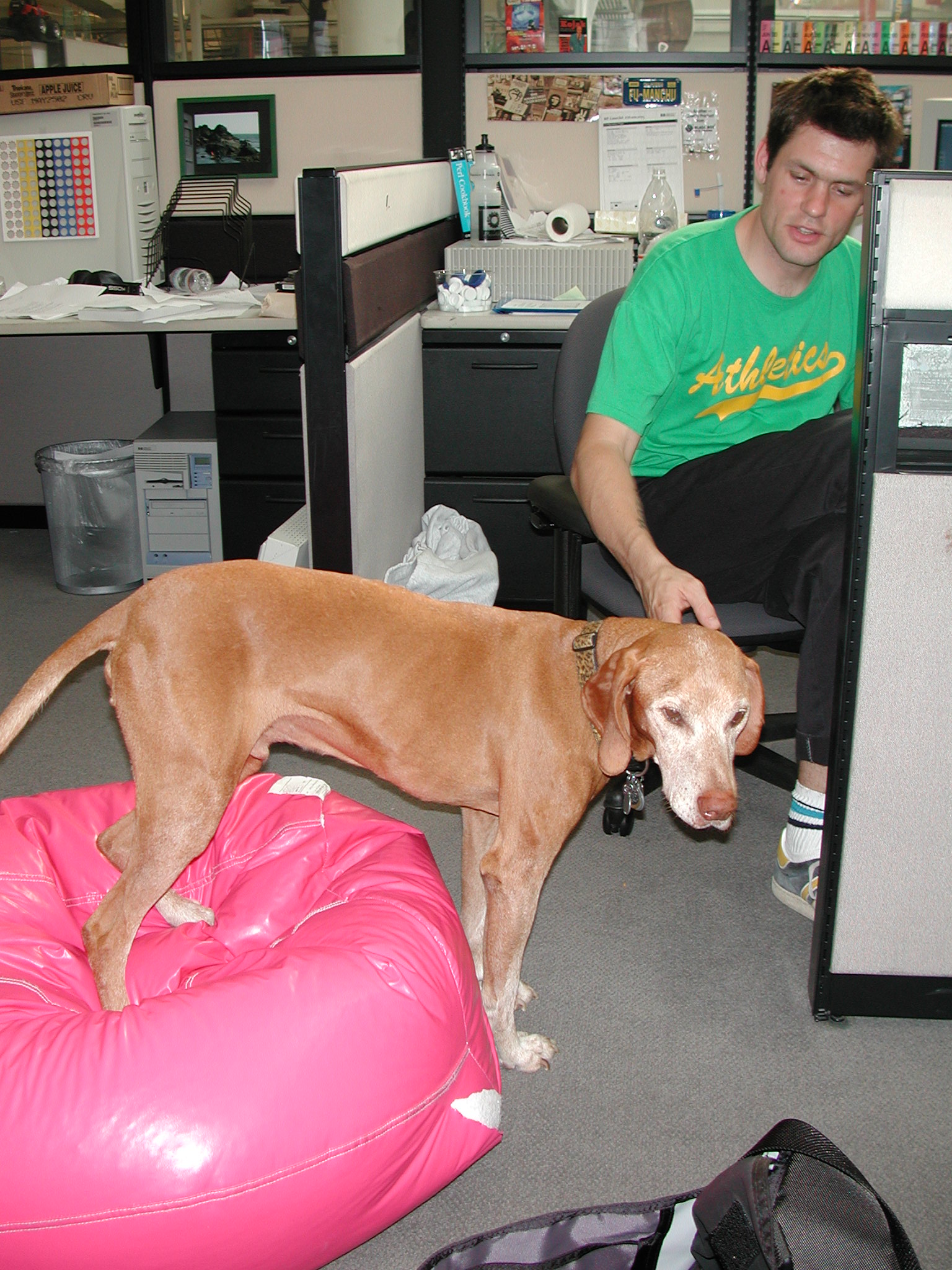 Even Cadbury loves the hot pink bean bag