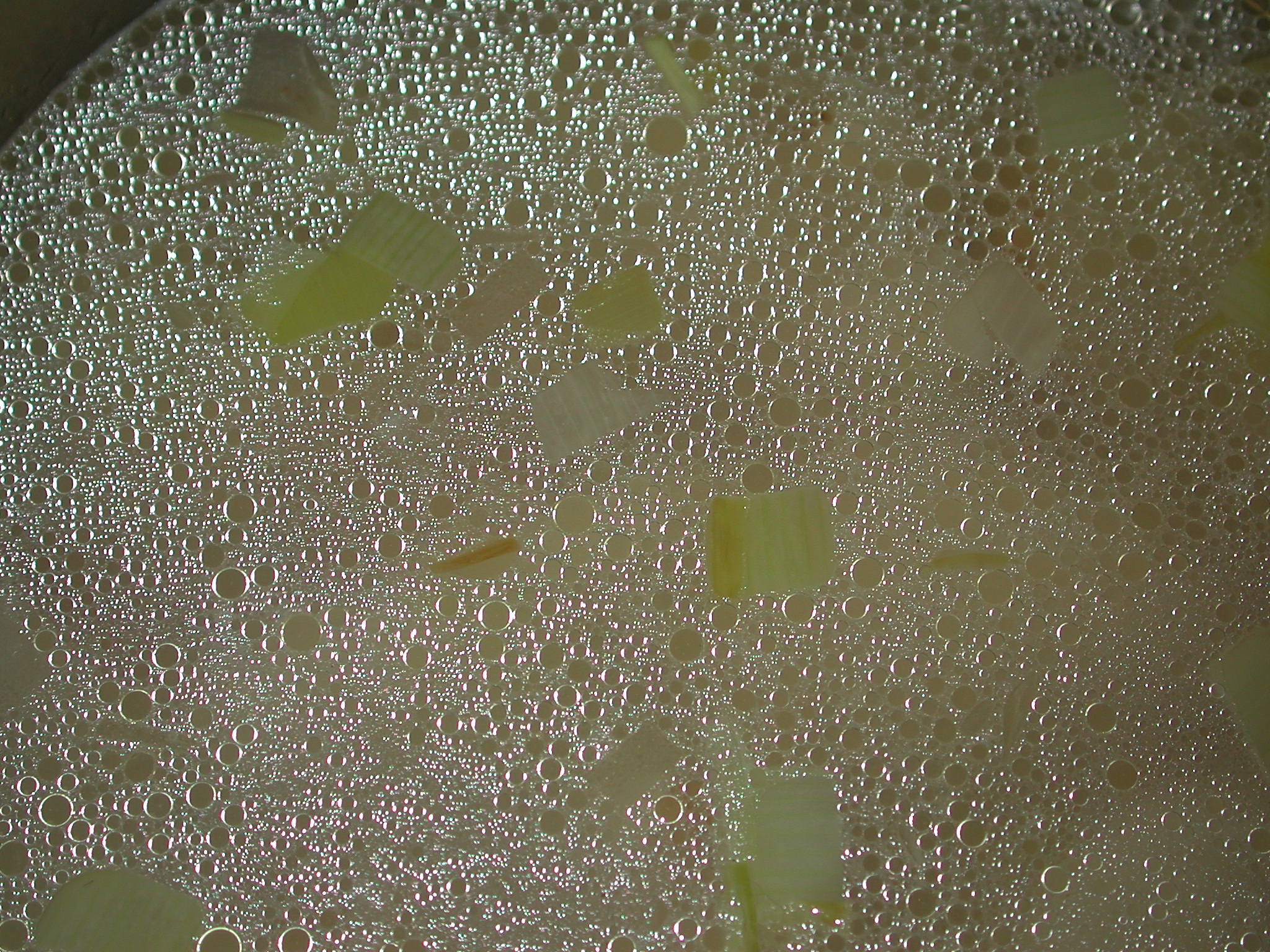 Soup scum